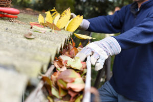 Why Removing Leaves On Your Roof Is Important