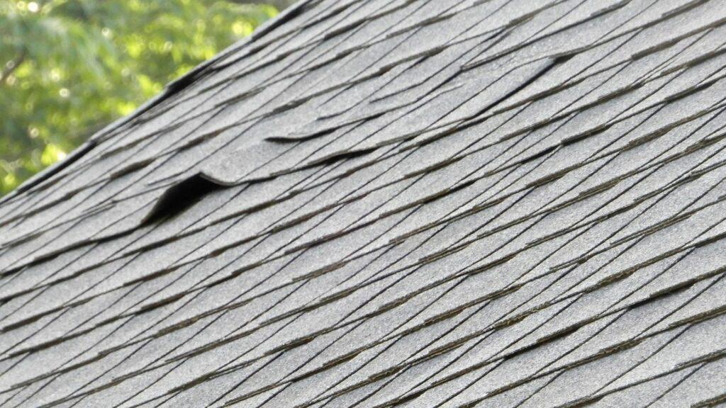shingle roof maintenance